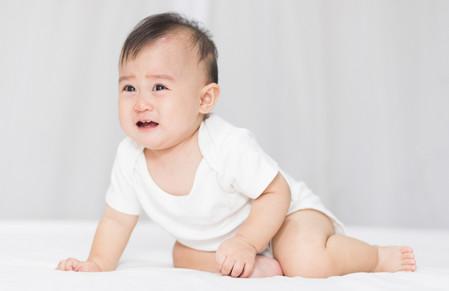 Abby 女生英文名解析